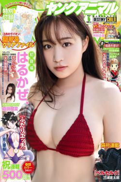 新女婿时代演员表